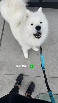 About Me Image - My Dog